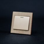 C6 1 Gang Switch - Gold