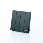 T2 2 Gang Switch - Black